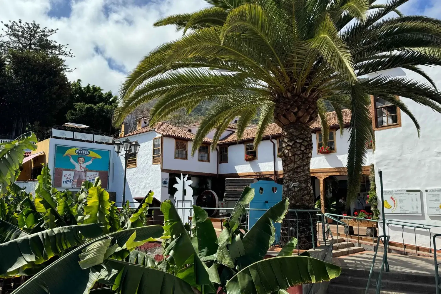 Casa del Plátano Icod de los Vinos