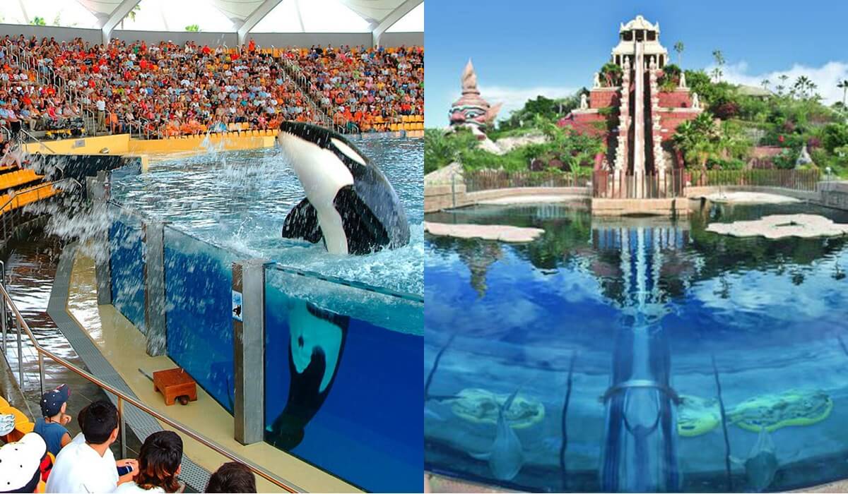 Loro Parque